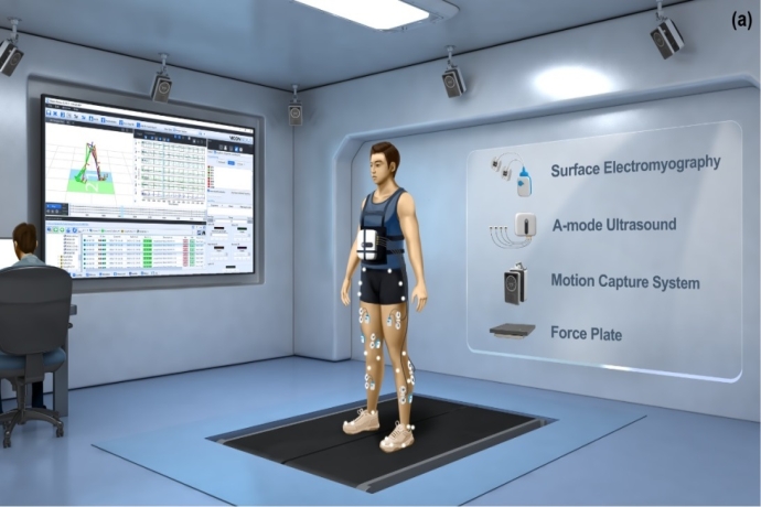 K2MUSE: Multimodal Walking Dataset Bri dges Lab-to-Real-World Gap for Rehabilitation Robots