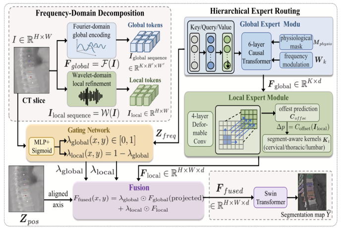 Researchers Propose Frequency-Causal Mixture-of-Experts Network for High‑Precision Spinal CT Segmentation