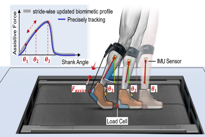 Researchers Propose Shank-Angle-Driven Control Method for Exoskeleton to Assist Non‑Steady Locomotion