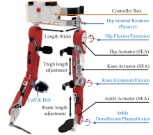 SIA Researchers Make Progress in Hip–Knee–Ankle Rehabilitation Exoskeleton Robots